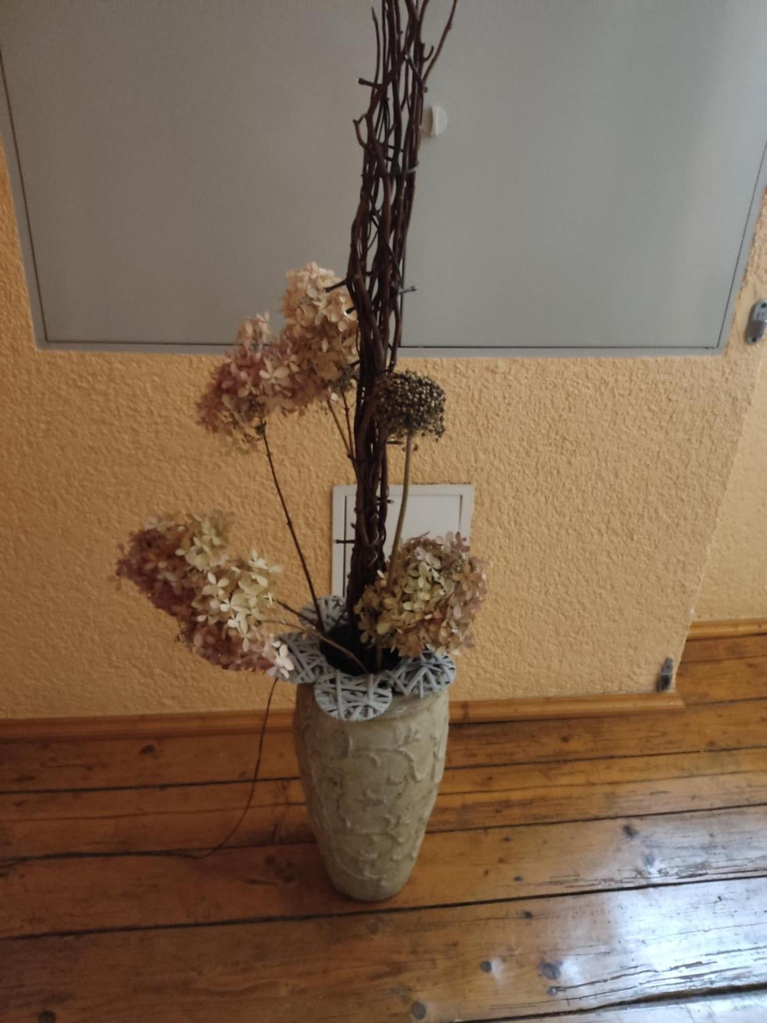 Pension Grenzeck Bad Schandau Esterno foto
